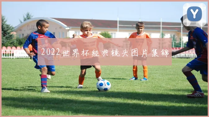 2022世界杯经典镜头图片集锦