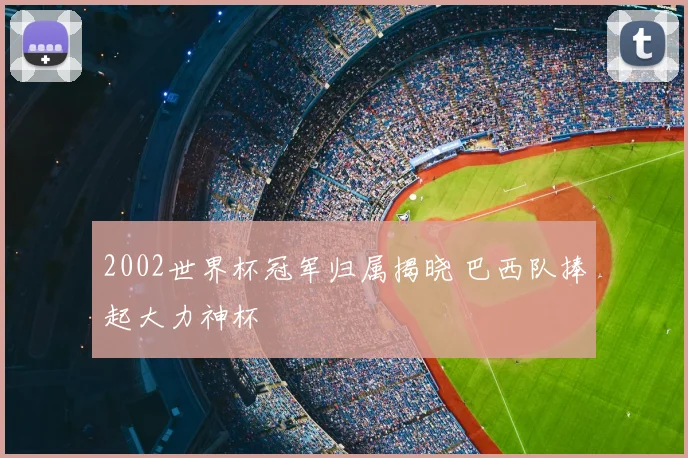 2002世界杯冠军归属揭晓 巴西队捧起大力神杯